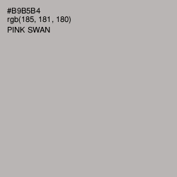#B9B5B4 - Pink Swan Color Image